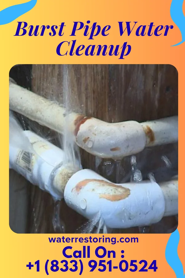 Burst Pipe Water Cleanup in Wilmington Manor, DE