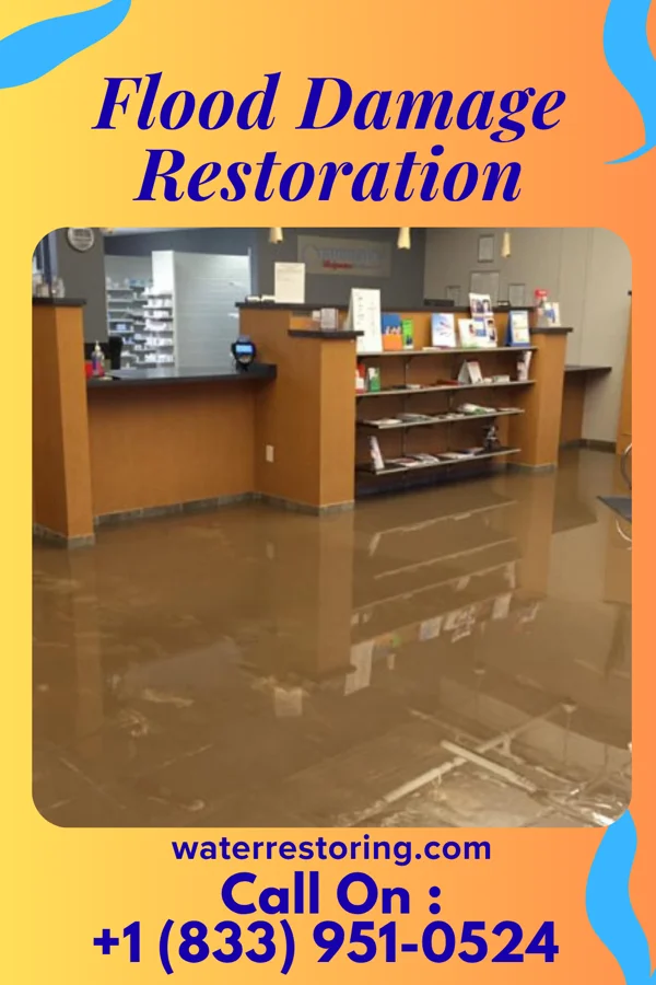 Flood Damage Restoration in Wilmington Manor, DE